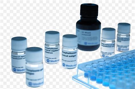 ELISA Biology Polyclonal Antibodies Assay In Vitro, PNG, 1200x798px, Elisa, Analysis, Antibody ...