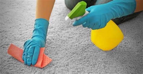 Top Carpet Cleaning Tips - Clean That Carpet