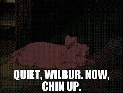 Yarn Quiet Wilbur Now Chin Up Charlotte S Web Video Gifs By