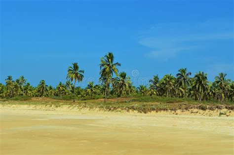 Betalbatim Beach In Goa State In India Stock Image Image Of View