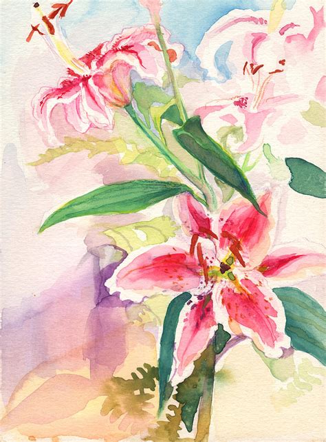 Stargazer Lily Watercolor at PaintingValley.com | Explore collection of ...