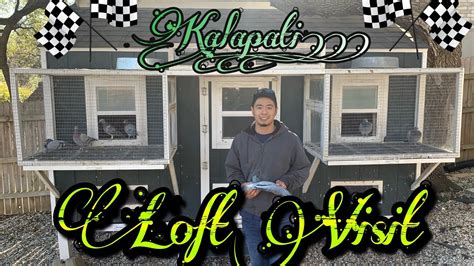 Kalapati Loft Visit 3 Stars And A Sun San Antonio Texas YouTube