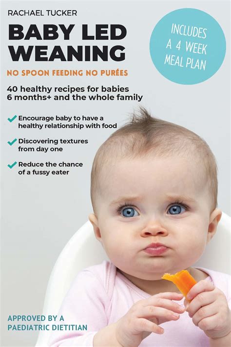 Baby Led Weaning Plan Hot Sex Picture