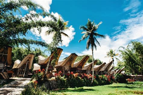 Toraja, Sulawesi - Gaya Gaul