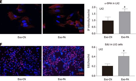 Lipotoxic Hepatocyte Secreted Exosomes Could Transfer Exosomal Download Scientific Diagram