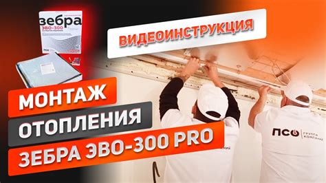 Псо теплый пол зебра - 88 фото