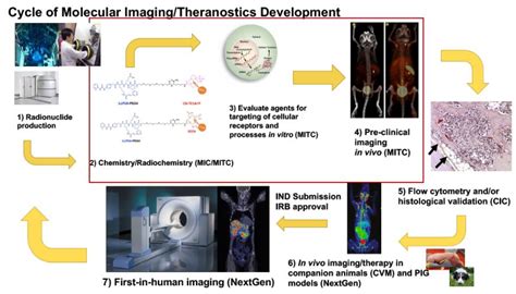 What Is Theranostics Molecular Imaging And Theranostics Center