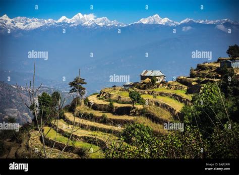 mountain range views behind terrace farms in Nagarkot, Nepal Stock ...