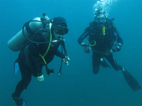 Scuba Diving With Nemo Divi With Nemo Diving Center By Mohamed Samir