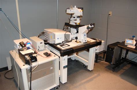 Lsm Confocal Microscope Microscopy Facility