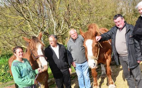 Patrimoine Chevaux Et Pain Aux Plomarc H Le T L Gramme