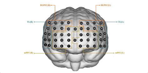 Figure E Schematic Of Arranged Fnirs Channels Dlpfc Dorsolateral