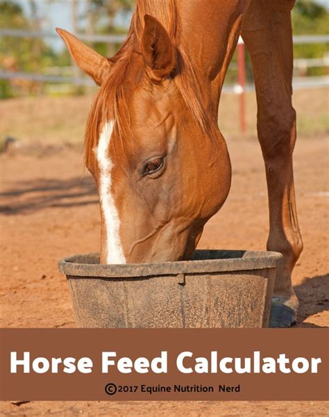 The Equine Nutrition Nerd | The Place for Easy-To-Understand ...