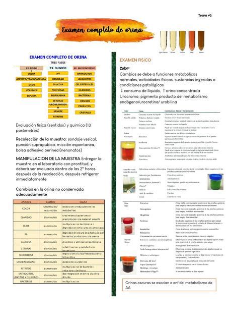 Examen Completo De Orina Salud Patolog A Cl Nica Udocz