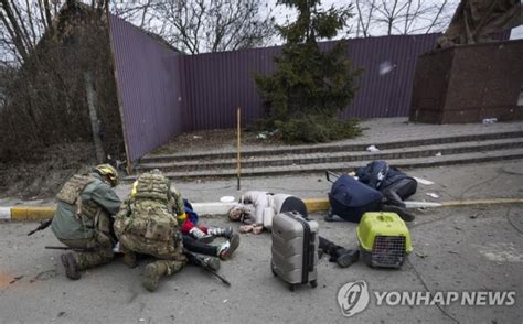 강을 건너려던 일가족 러시아군 박격포 포격에 3명 숨져러시아 우크라이나 침공 김명수 기자 톱스타뉴스