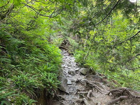 Trail Guide: Hiking the Heather Lake Trail, Washington