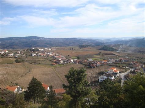 Vilar De Maçada Em Festa Para Promover Vinhos Azeites E Licores