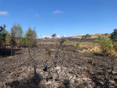 Ashdown Forest Fire Pictures Show Shocking Aftermath Of Fire As Crews