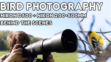 Bird Photography With The Nikon D Nikon Mm F Behind