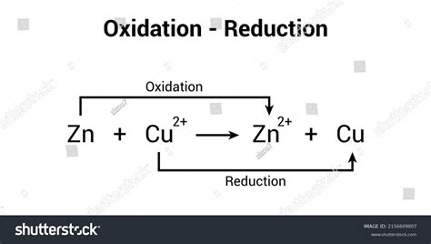 Redox Reaction Oxidation Reduction Reactions Vector Stock Vector Royalty Free 2156609807