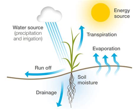 Soil Water Diagram