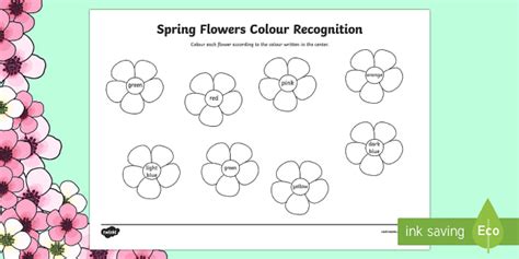 Spring Flowers Colour Recognition Colouring Page