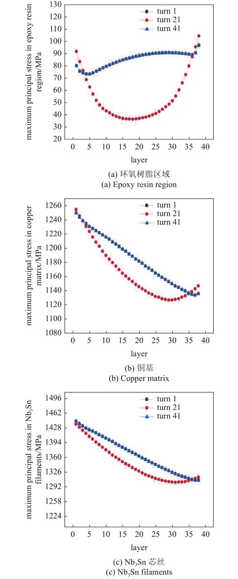 Nb 3 Sn超导线圈力学性能精确分析的双向均质化方法