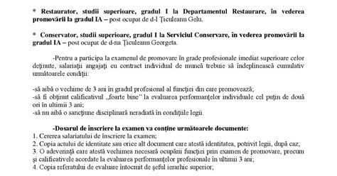 ANUNŢ organizare examen de promovare în grad profesional Muzeul