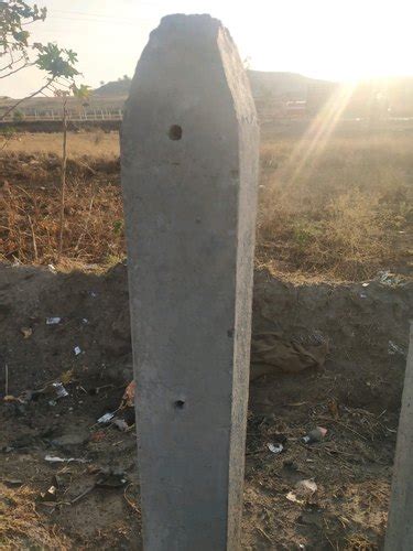 Cement Fencing Pole Length 4 25mtr 4 5mtr At Best Price In Pune