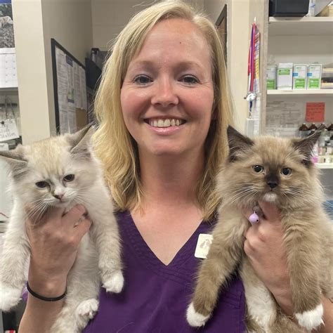 hillsboro animal hospital nashville 7