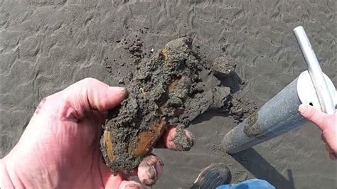 Razor Clam Harvest First One Of 2023 Youtube