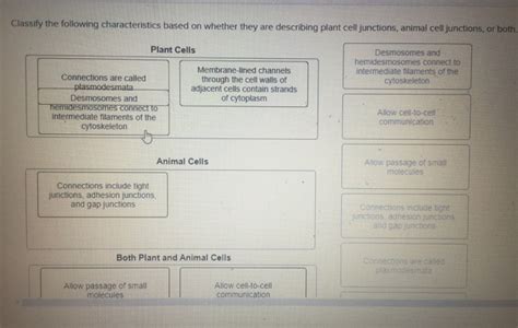 Solved Classify The Following Characteristics Based On Chegg