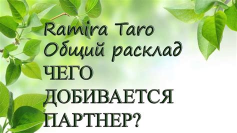 ЧЕГО ДОБИВАЕТСЯ ПАРТНЕР? - YouTube