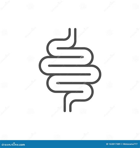 Intestines Line Icon Or Digestion System Symbol Stock Vector