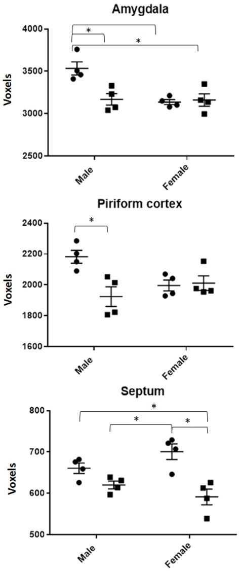 Frontiers Olfactory Memory Impairment Differs By Sex In A Rodent