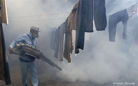 Plan De Fumigaci N Efectivo En El Barrio Ariel Darce