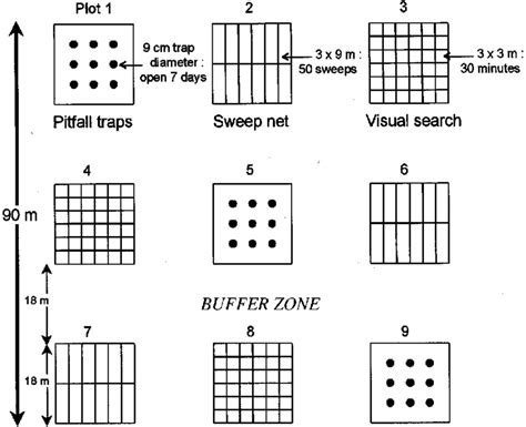 The Spatial Arrangement Of The Nine Plots At A Site And Of Samples