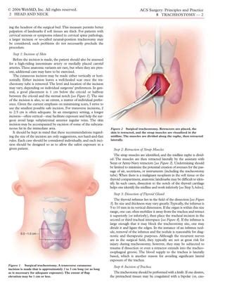 Acs0208 Tracheostomy PDF