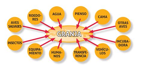 Nuevo Enfoque De La Bioseguridad En Las Granjas Av Colas Avicultura