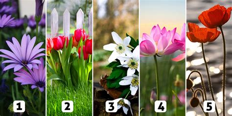 Test de personnalité Choisissez votre fleur pour découvrir votre