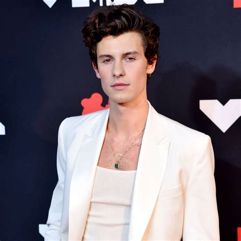 What Shawn Mendes Has Said About His Mental Health Battle