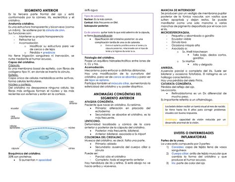 Oftalmo Parcial Gu A Segmento Anterior Es La Tercera Parte