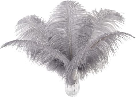 Amazon Ballinger Natural Gray Ostrich Feathers 24pcs 10 12inch