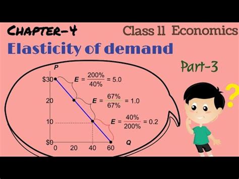 Elasticity Of Demand Class 11 Part 3 Class 11 Microeconomics