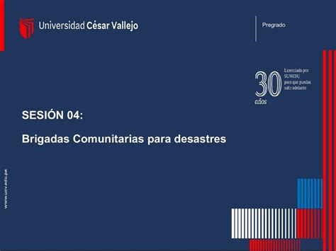 Brigadas Comunitarias Para Desastres Diana Carolina Manayay Villalta