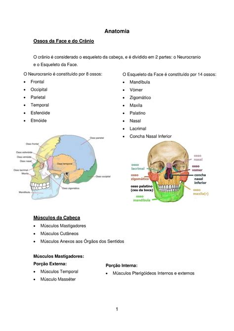 Cabeca Pescoço Toráx Ossos Músculos e Articulações Anatomia