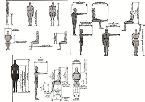 Marina Sá Design Interiores Ergonomia