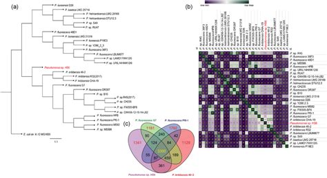 Evolutionary And Comparative Genomic Analysis A Phylogenetic Tree Download Scientific Diagram