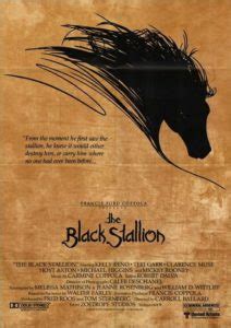 News | The Black Stallion