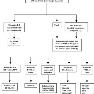 Flow chart for the diagnosis of chronic lymphoproliferative disorders ...